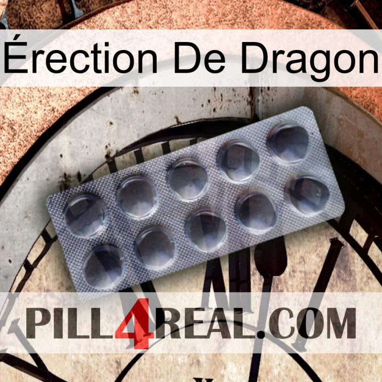 Érection De Dragon 30